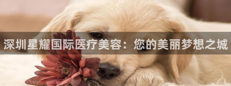 壹号娱乐,apk