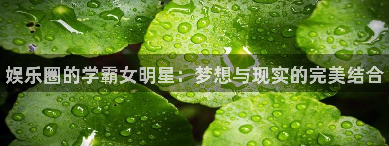 壹号app官网