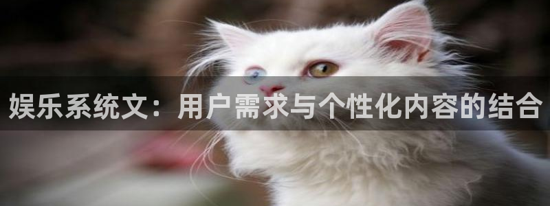 壹号电子娱乐app下载安装