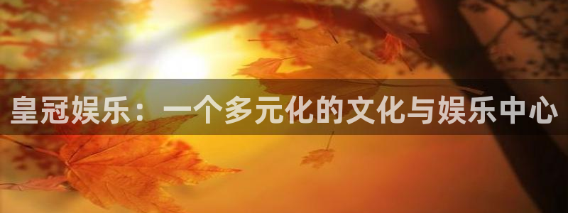 壹号娱乐.com