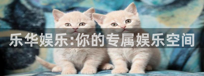 壹号娱乐,apk