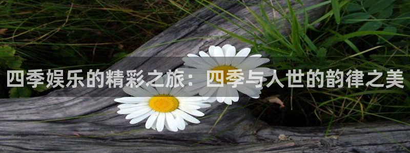 壹号娱乐.com