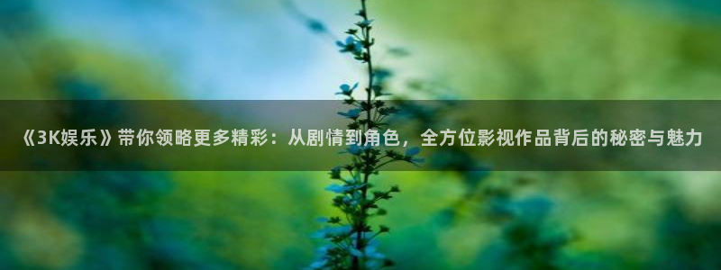 壹号娱乐官方网站下载
