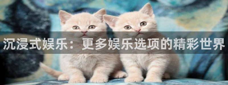 壹号娱乐能退款吗