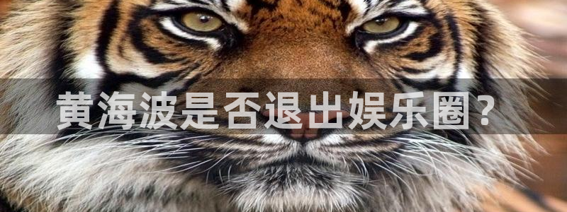 壹号app官网