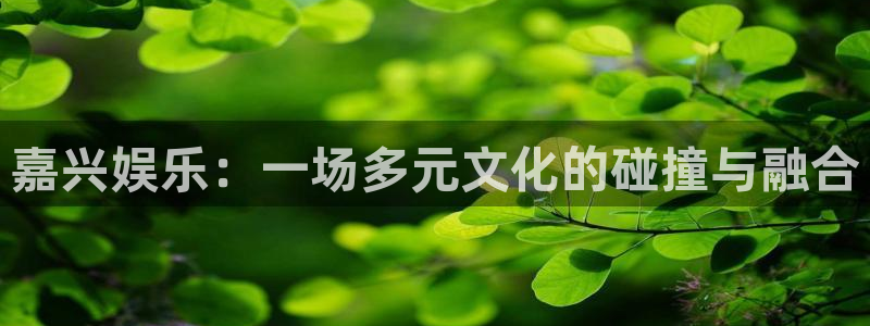 壹号娱乐官网下载