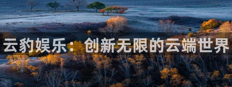 壹号top娱乐