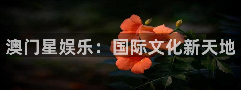 壹号大舞台