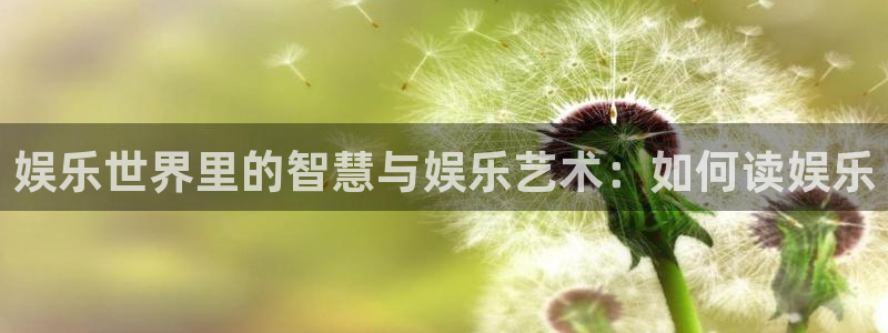 下载壹号娱乐app
