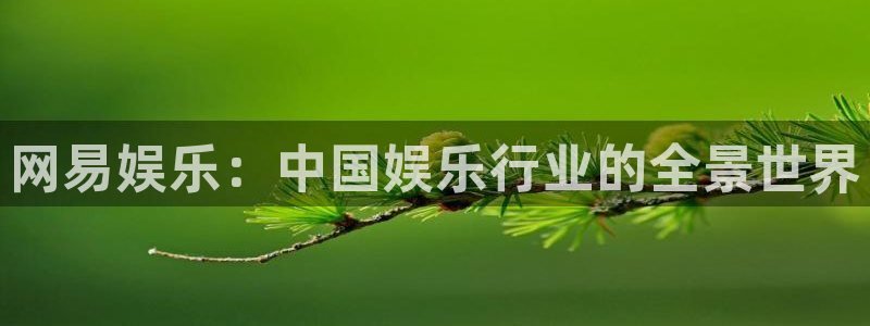 壹号娱乐app：网易娱乐：中国娱乐行业的全景世界