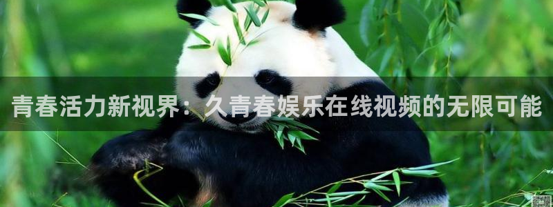 壹号娱乐.com