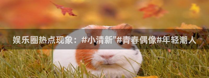 壹号娱乐官网