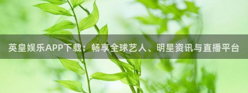 下载壹号娱乐app