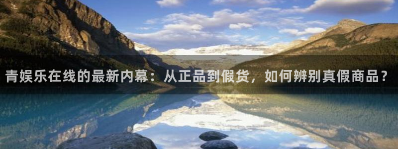 壹号平台app下载安装