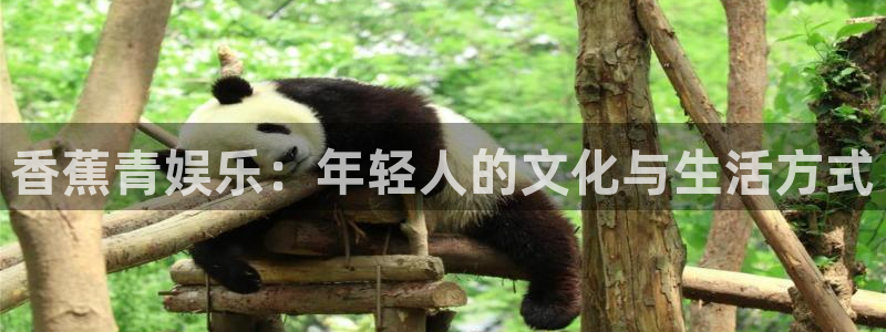 壹号大舞台,有梦你就来