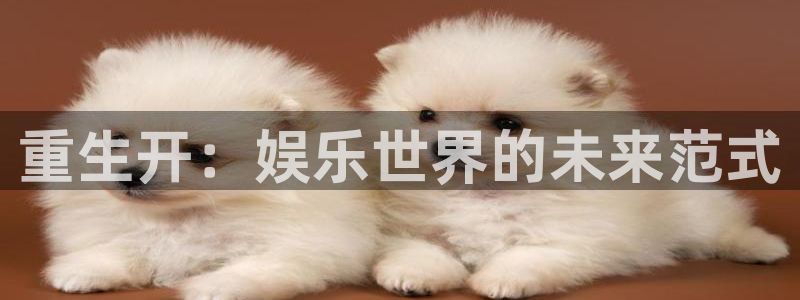 壹号平台下载安装官网